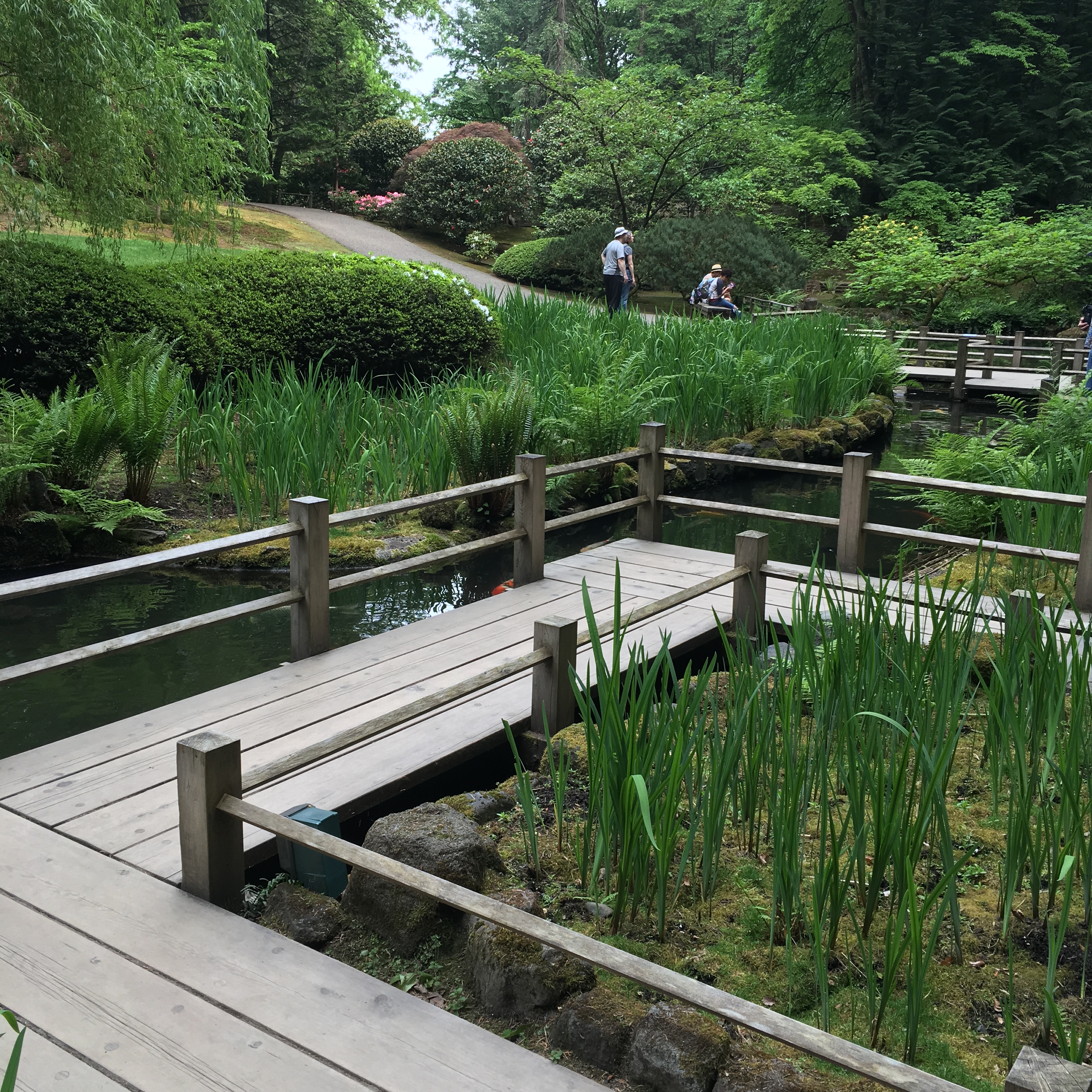 2016-05-03 Portland - Washington Park Japanese Gardens 10